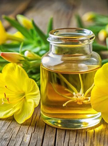 Evening Primrose Oil exporters from Noida